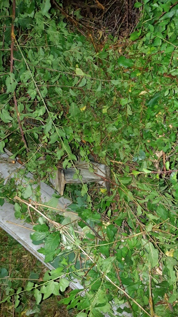 20220702_015155_resized groß.jpg